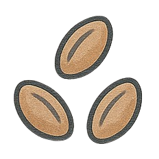 Seeds